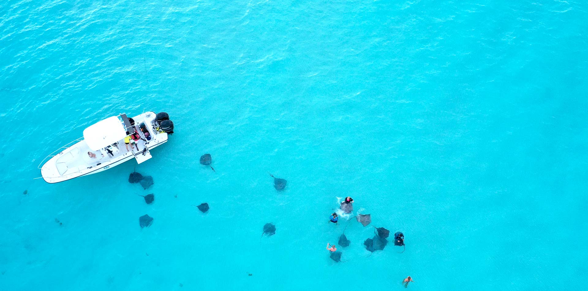 stingray-boat-2