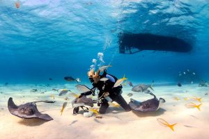 A diver on the sea floor of Stingray City surrounded by Stingrays and Jacks.