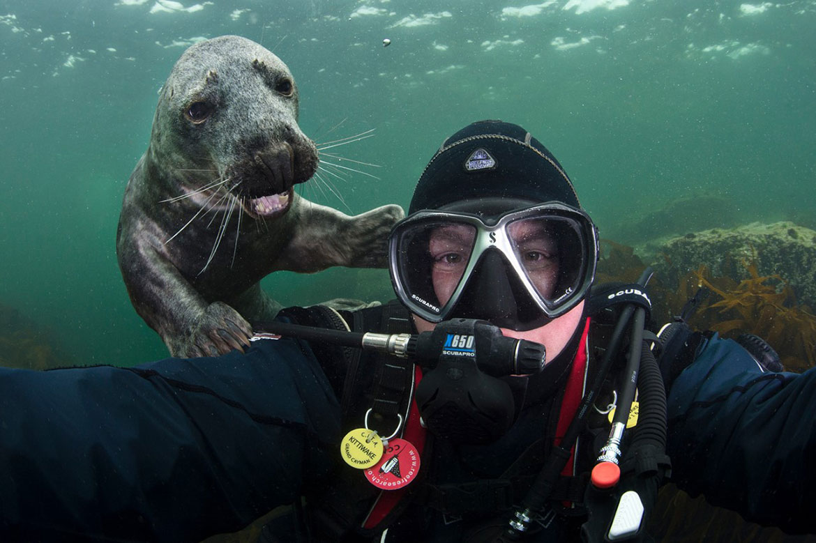 Underwater photographer Alex Mustard taking a self-portrait with a friendly young grey seal off the Farne Islands, Northumberland, England, 