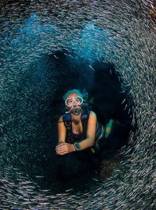 Cayman Sotheby's International Realtor Brittainy Slade surrounded by a school of Silversides while on a dive in the Caribbean Sea in Grand Cayman. 