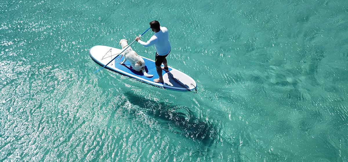 A man and his dog riding a paddleboard on the Caribbean Sea.