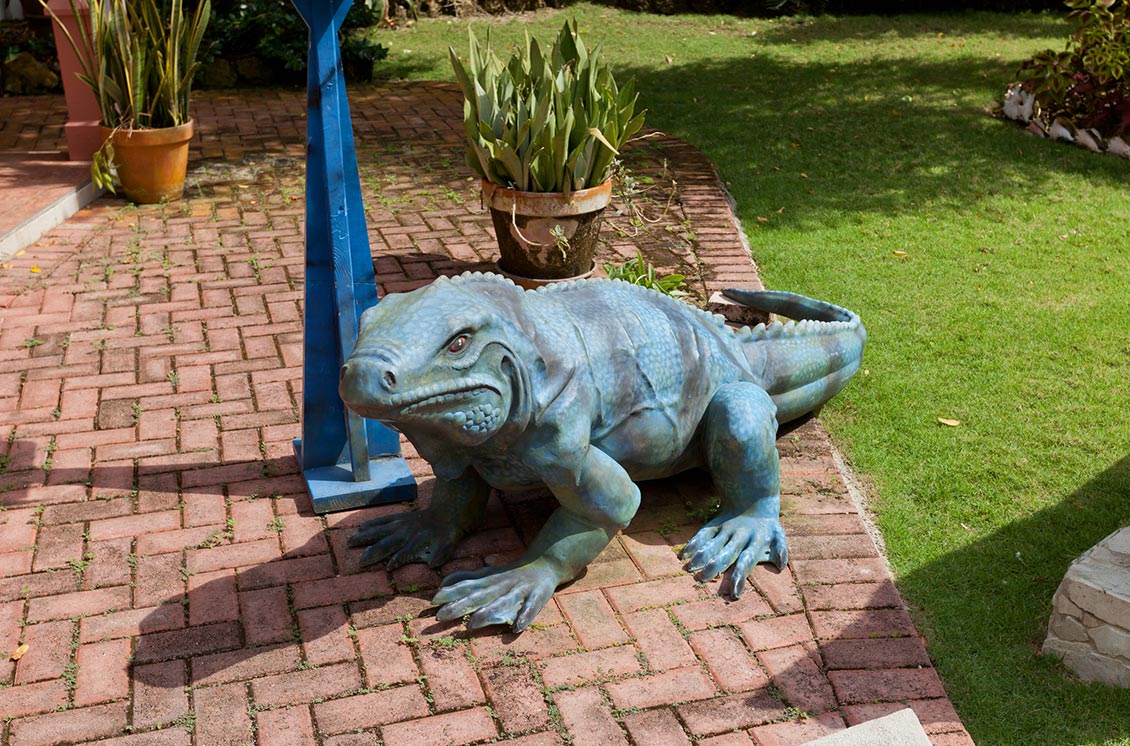 Fibre glass model of a Blue Iguana.