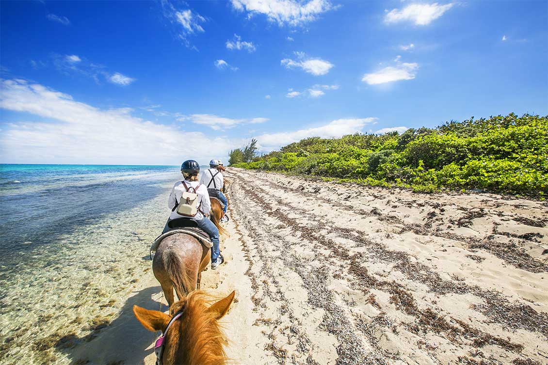 A trek along the waters edge of the beach on horseback.