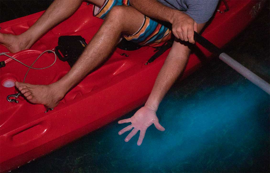 Bioluminescence kayak tour.