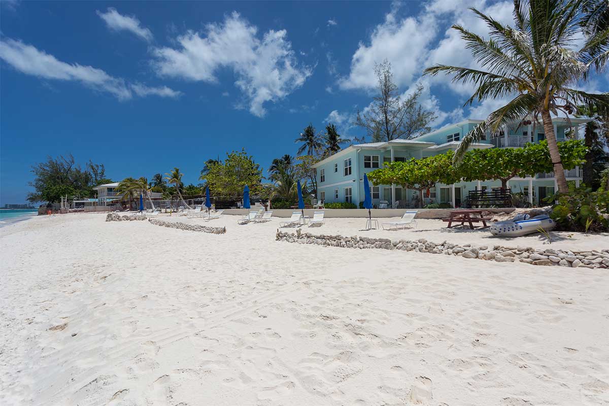 Seagull, Seven Mile Beech
