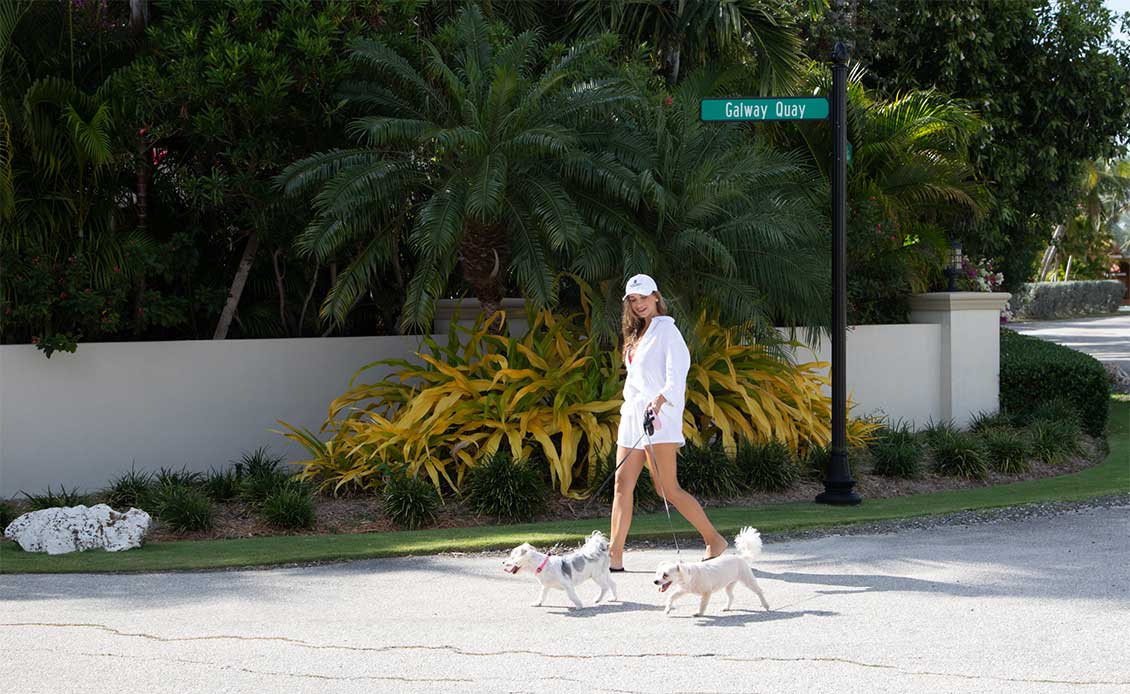 A woman walking two adopted dogs on Galway Quay on Seven Mile Beach, Grand Cayman