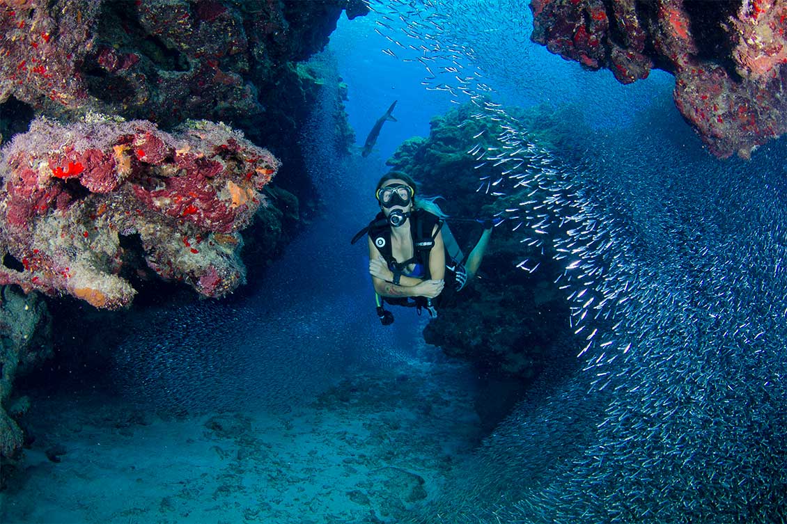 A diver swimming through a coral cave with a shoal of fish surrounding her.