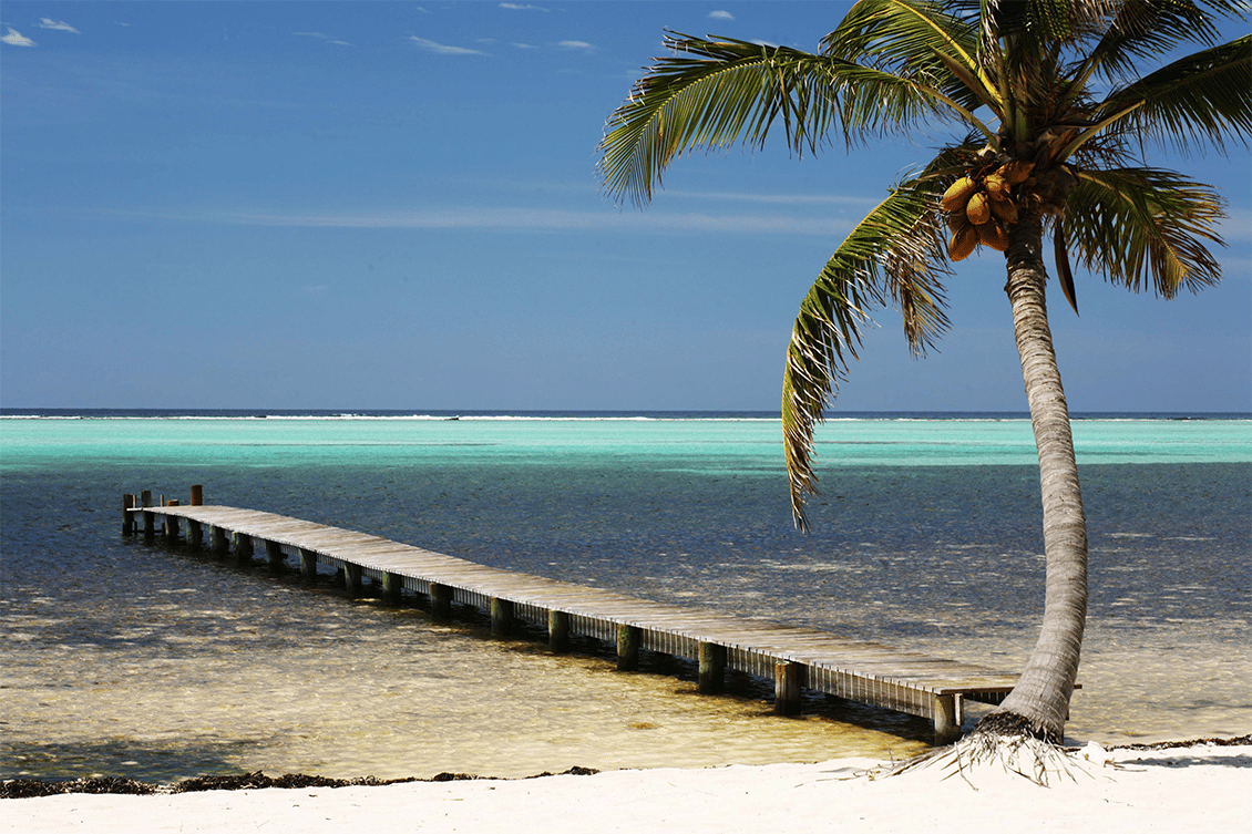 Boat jetty with palm tree on beach looking out to Caribbean Sea from Little Cayman.