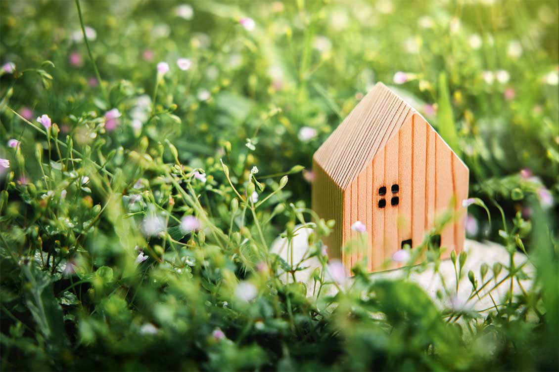 Small wooden house on green foliage 