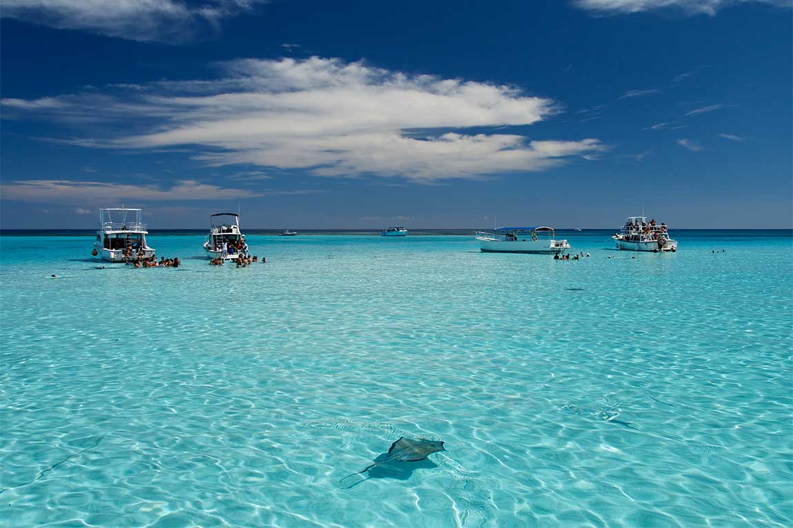 Stingray City, Grand Cayman