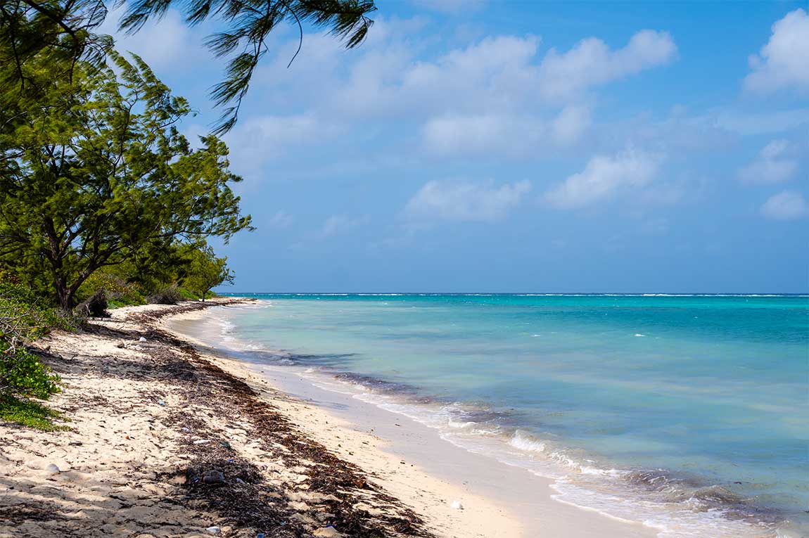 Barkers National Park offers one of Grand Cayman's most unspoilt coastlines, where wide-open beaches and Caribbean views stretch for miles.